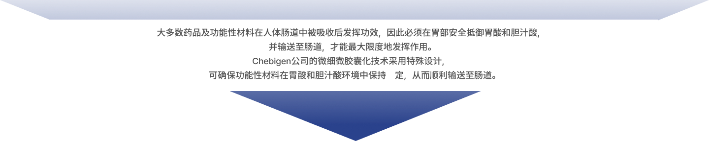 tech_double_img02_fix