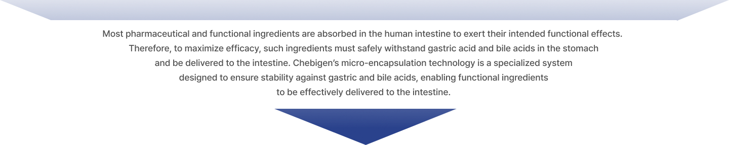 tech_double_img02_fix